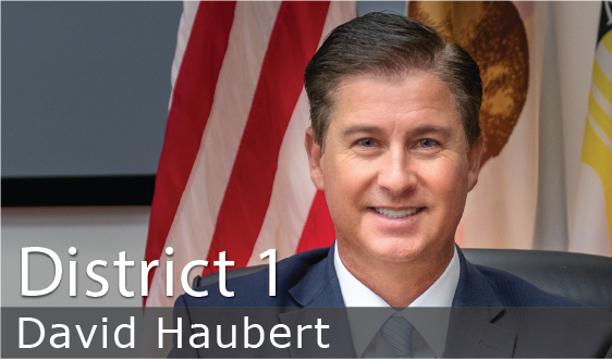 District 1 - David Haubert
