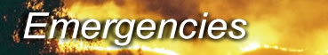 Emergency homepage logo