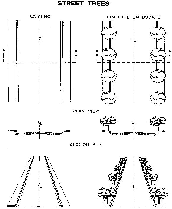 street trees plans
