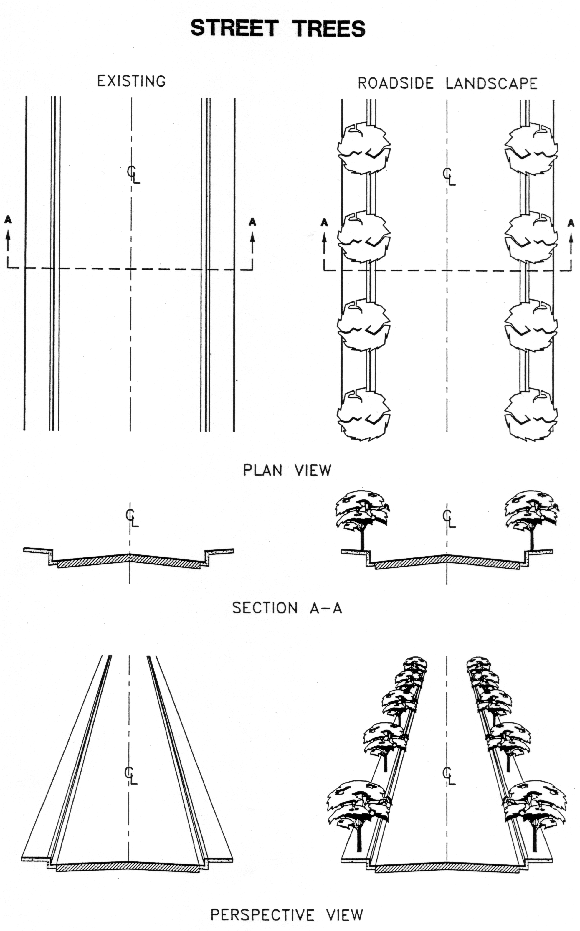 street trees plans